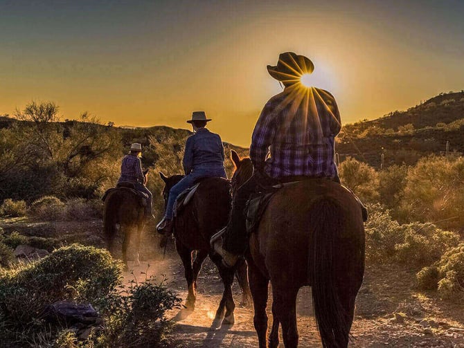 Trail Rides